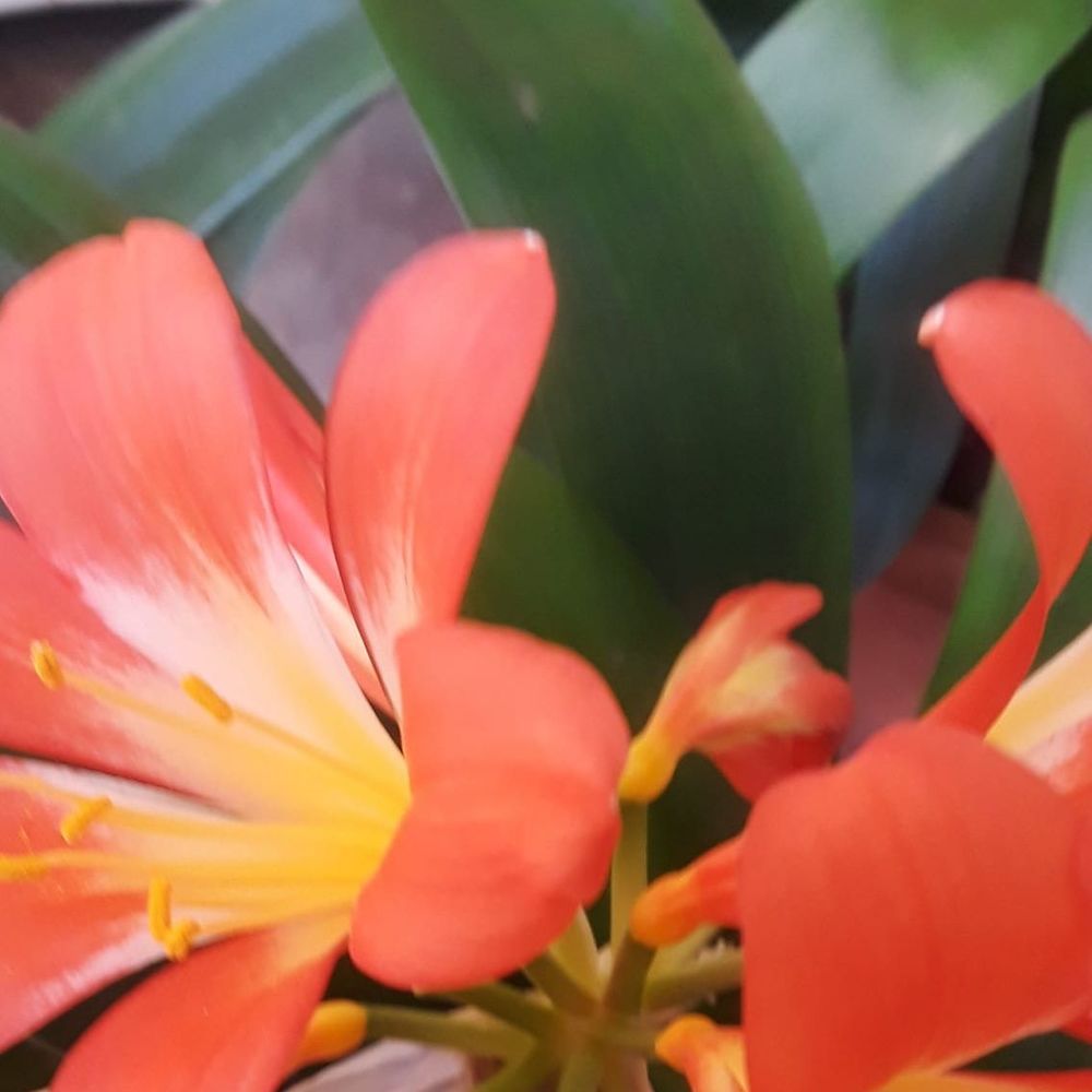 Meet your Posher, Deborah